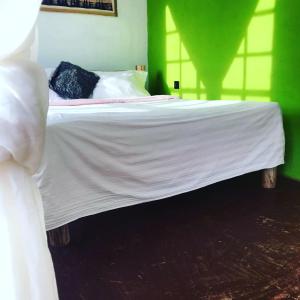 Cama en habitación verde con colcha blanca en Sonofjohnhomestay en Karatu