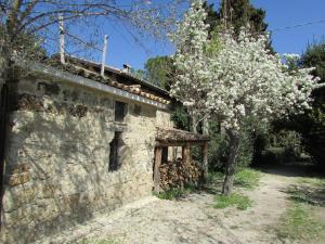 un antiguo edificio de piedra con un árbol con flores blancas en Agriturismo "Borgo Madonna degli Angeli" - charming cottages in the gardens !, en Tocco da Casauria