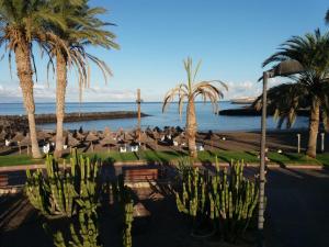 Naturlandskabet i nærheden af lejligheden