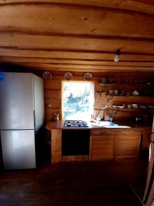 kuchnia z kuchenką i lodówką w kabinie w obiekcie До Сонця Близько w Jaremczach