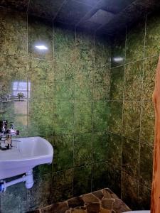 W łazience znajduje się umywalka i wyłożona zielonymi kafelkami ściana. w obiekcie До Сонця Близько w Jaremczach