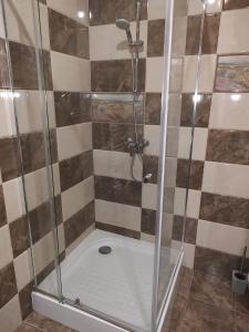 a shower with a glass door in a bathroom at Cosy apartment I in Târgu-Mureş +66 photos