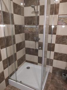 a shower with a glass door in a bathroom at Cosy apartment I in Târgu-Mureş