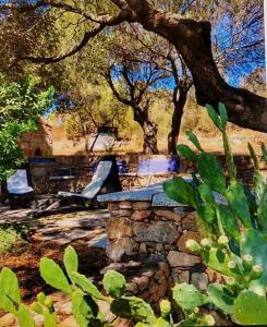 a painting of a stone bench under a tree at Villa Smeralda in Olbia