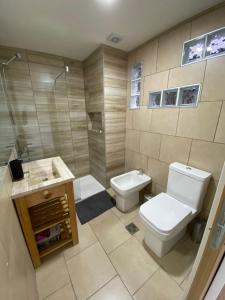 La salle de bains est pourvue de toilettes, d'une douche et d'un lavabo. dans l'établissement Cielo Infinito II, à Ushuaia
