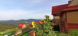 Widok na góry z tego domu wakacyjnego