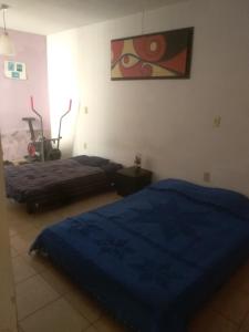 1 dormitorio con 2 camas y un cuadro en la pared en Casa Valle Dorado SJR Fam, en San Juan del Río