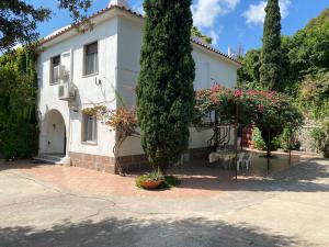 Una casa blanca con un árbol delante. en Villa Marie Claire en Ischia