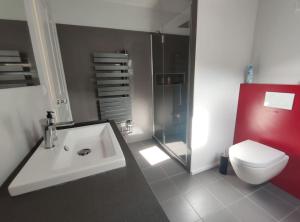 Un baño con lavabo, inodoro y ducha. en Agréable maison de ville, en Saint-Lary-Soulan 7 fotos más