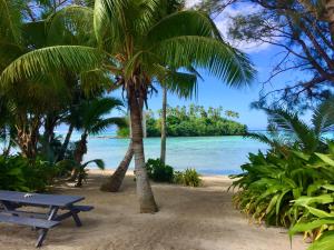 a blue bench sitting on a beach with palm trees at Muri Beach Studio with Pool in Rarotonga