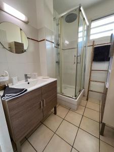 a bathroom with a sink and a shower at Les Libellules in Les Trois-Îlets
