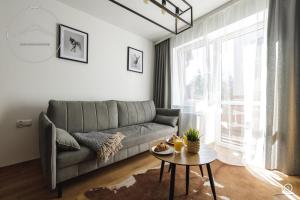 a living room with a couch and a table at Apartamenty i pokoje Krupówki 16, Na Szczytach in Zakopane