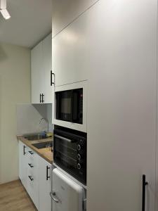 Dapur atau dapur kecil di 4SeasonsGea , New Modern Apartment in Tirana