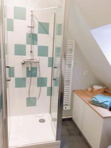 ein Bad mit einer Dusche und einem Waschbecken in der Unterkunft Appartement 48m² / HyperCentre (Gares et Vieux Lille) in Lille