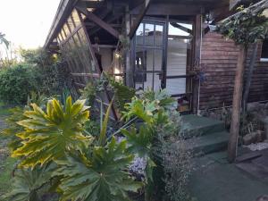 a house with a bunch of plants in front of it at Cabaña el colibri in Mar del Plata