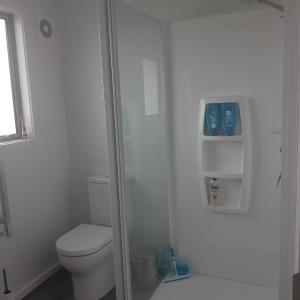 a white bathroom with a toilet and a shower at Riverton Cottage 2 Bedroom Close to beach in Riverton