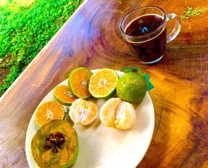 a plate of orange slices and a cup of tea at Encantadora Villa Maya tradicional en Rancho Agroecologico in Tzucaceb