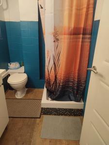 a bathroom with a shower curtain and a toilet at Be like home Texas in Alcalá de Henares