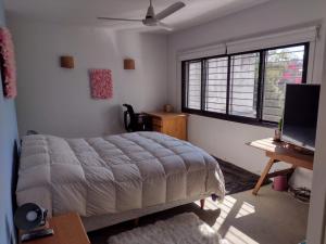 1 dormitorio con cama, escritorio y ventana en CASA JARDIN HUERTA PILETA Y PARRILLA San Isidro Bs As en San Isidro
