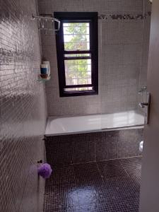 baño con ducha, bañera y ventana en CASA JARDIN HUERTA PILETA Y PARRILLA San Isidro Bs As en San Isidro