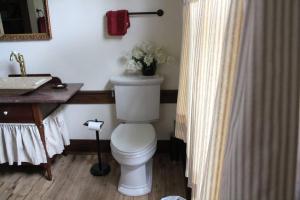 y baño con aseo blanco y lavamanos. en Upstairs Historic 1 Bedroom 1 Bath Suite with Mini-Kitchen, Porch & River Views, en Elkins