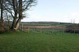 a tree in a field next to a fence at Cobblers Cottage Creggan in Greencastle