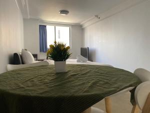 a room with a table with a potted plant on it at KozyGuru / Haymarket SYD / Cozy Warm / 1 Bed APT / NHA317-546B in Sydney