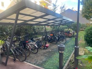 Jazda na bicykli v okolí ubytovania Live Like a Local Stylish 2BR with Balcony & Parking