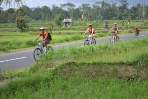 a group of people riding bikes down a road at Bali Culture Guesthouse in Ubud