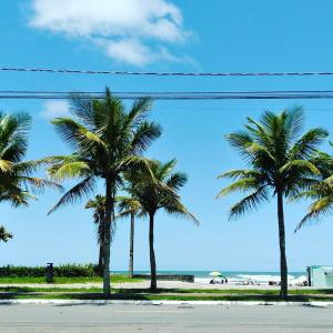 un grupo de palmeras en la playa en Apto da Li na Praia Grande I, en Praia Grande