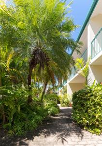 a palm tree in front of a building at Sails On Horseshoe in Horseshoe Bay