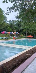 een groot zwembad met parasols en stoelen bij Lover View Pool Bar & Bungalows in Ngwesaung