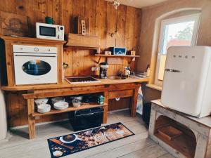 cocina con paredes de madera, nevera y fregadero en Vintage-Design Ferienwohnung Viktoria, en Bad Klosterlausnitz