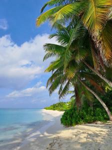 Φυσικό τοπίο κοντά σε αυτό το ξενοδοχείο