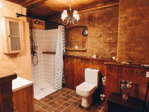a bathroom with a toilet and a shower at Vintage Ferienwohnung Viktoria in Bad Klosterlausnitz +6 photos