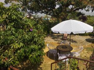 een tafel en stoelen met een parasol in de tuin bij Oxygen Homestay in Dehradun