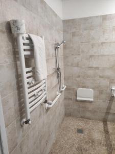 a bathroom with a shower and a towel rack at Hotel Big Bang in Rome