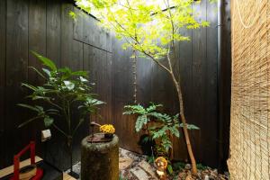 małe drzewko w ogrodzie obok płotu w obiekcie ゲストハウス至の宿 Shibainu-Themed Guesthouse w mieście Kioto