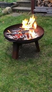 a fire pit in the grass with flames in it at Ferienwohnung im Nierott in Gettorf