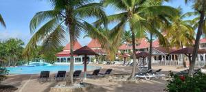 圣安尼Grand studio 4 pers superbe vue mer et cocotiers dans Village Vacances Sainte-Anne plage à - 30 m的一个带椅子和棕榈树的游泳池的度假酒店
