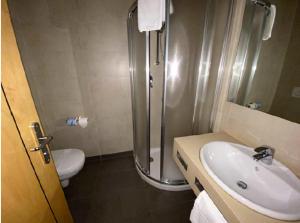 a bathroom with a shower and a sink and a toilet at Luxury Rooms Padova Station in Padova