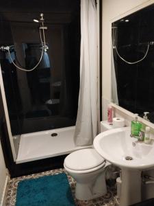 a bathroom with a toilet and a sink and a shower at Studio Flat Next to Port and Cliffs in Kent