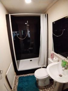a bathroom with a toilet and a shower and a sink at Studio Flat Next to Port and Cliffs in Kent