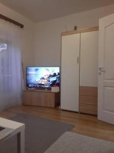 TV a/nebo společenská místnost v ubytování Portum vendégház