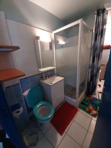 ein Badezimmer mit einem blauen WC und einer Dusche in der Unterkunft T2 tout confort Vue Panoramique in Sainte-Anne