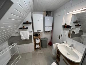 Baño pequeño con lavabo y lavabo en Wohlfühl Loft - Seenähe, Boxspringbett, Küche, en Bregenz 32 fotos más