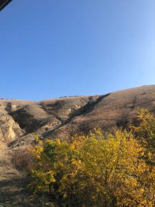 Aussicht von der Spitze eines Hügels mit Bäumen in der Unterkunft FLORENA HOUSE in Pecineaga + 1 Foto