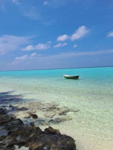 Galeriebild der Unterkunft Summer Sky Thoddoo in Thoddoo-Atoll + 50 Fotos