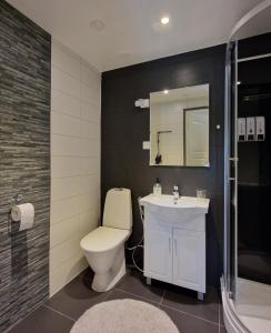 a bathroom with a toilet and a sink and a mirror at Apartment Neitamo44 in Ivalo