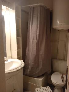 uma casa de banho com um lavatório e uma cortina de chuveiro em Résidences de Mélisa La Foux d'Allos em La Foux